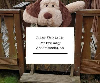 snowdonia accommodation with dogs