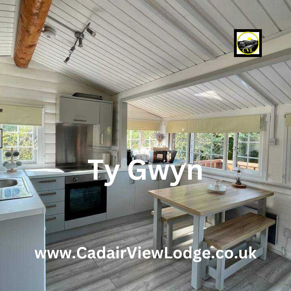 Ty Gwyn Log Cabin