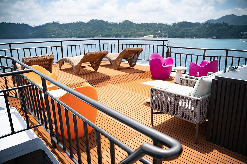 Black Noddy Sun Deck 1.jpeg
