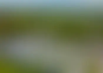 The Hidden Truth About Accessible Caravan Holidays in the UK