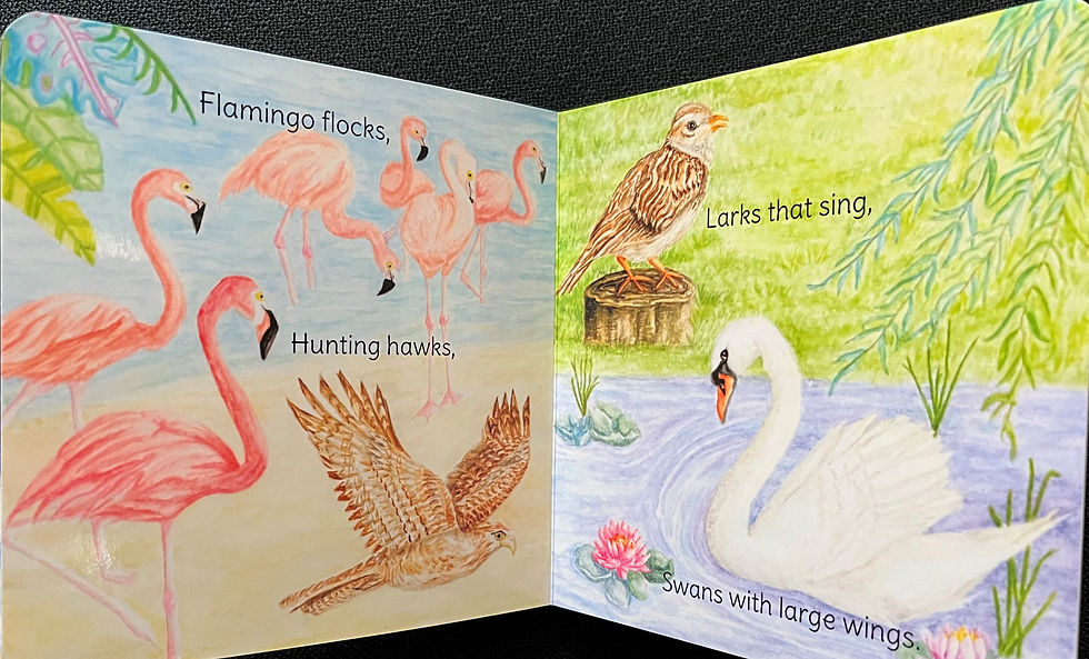 Thumbnail: Bible Birds - GSTP