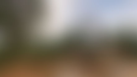 Ryan Hanley nommé au Conseil d'Administration de Zodiac Gold