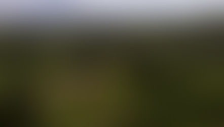 Kobo Resources amplifie sa présence aurifère en Côte d’Ivoire