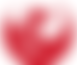 Schiele Group acquires Integrated Graphics Inc., creates Schiele Integrated Mailing