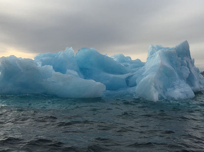 Bill Coleman : une bulle de création dans le Grand Nord