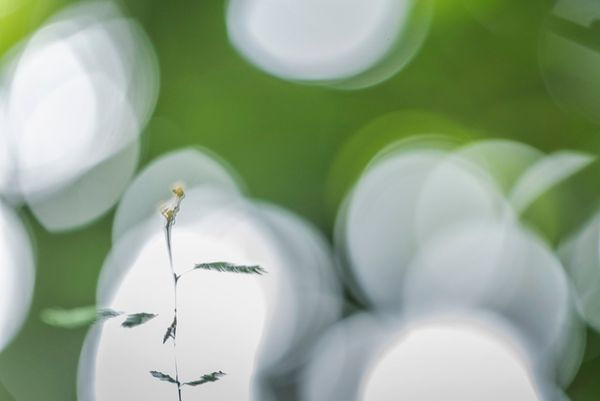 Contraste na Fotografia