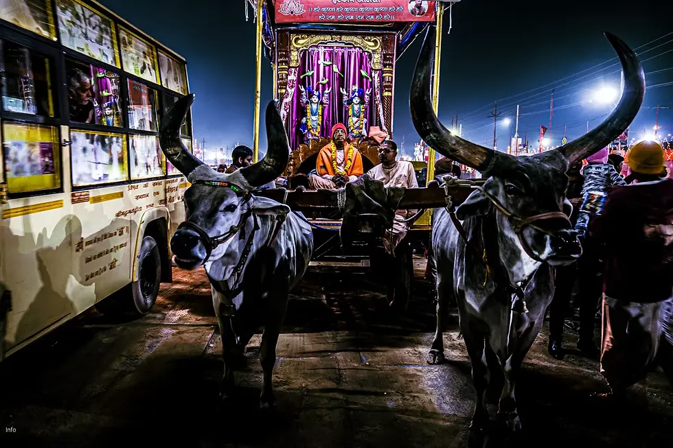 Night Photography