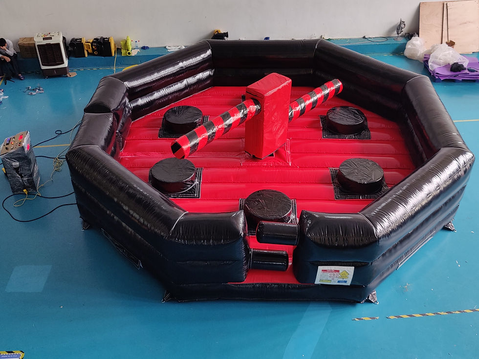 Miniatura: eliminator arena, wymiatacz, miotła na wynajem dmuchaniec