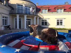 Byk rodeo symulator ujeżdżania byka. Mechaniczny byk.