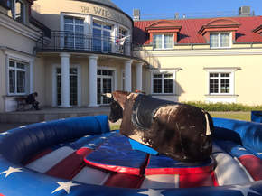 rodeo symulator wynajem