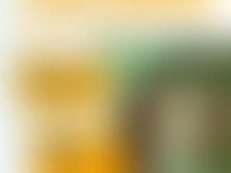 INCONTRI VOCAZIONALI 2024/25