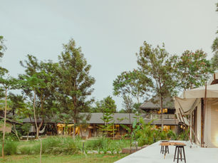 Complete Guide to Pet-Friendly Villas Near Bangalore