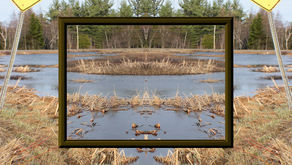 Chaque dimanche quelques mots... "suis-moi"