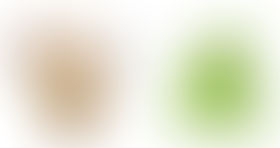 Un « Coronablog » pour maintenir la communion chrétienne