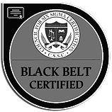 The Council for Six Sigma Certification - Lean Six Sigma Black Belt Certification - 2021-0