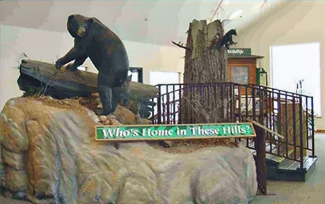 BCNC Diorama_edited.jpg
