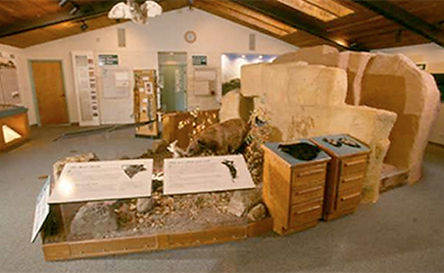 BCNC Diorama2.jpg