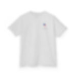 Thumbnail: Walking Home Youth T-Shirt