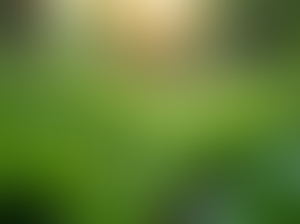 The Importance of Sustainable Living in Today's World