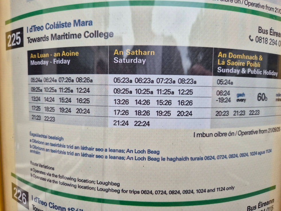 Bus timetable for route 225 from Cork to Maritime College and Ringaskiddy for Hibernia Line, showing Monday-Friday, Saturday, and Sunday/public holiday times in black and blue text.