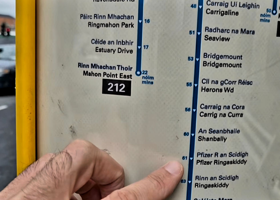 Hand points to a bus route map showing stop 61 for Ringaskiddy Hibernia Line ferry terminal in Ireland and bilingual place names, with blue route lines and a yellow frame.
