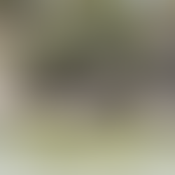 zebras and antelope drinking in an african watering hole