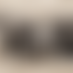 Elephants in muddy bath