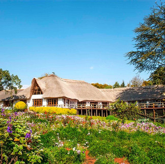 Ngorongoro Farm House thatched roof flower beds building proped up on wood stilts classic construction