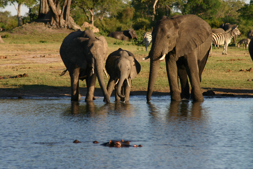 IMG_5195+Waterhole+at+sundown