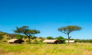 Blue skys over Kati Kati Tented Camp in the Serengeti National Park with acacia trees and double tented bungalows