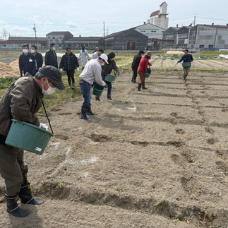 研修で農作物の生育に必要な肥料とジャガイモについて学びます