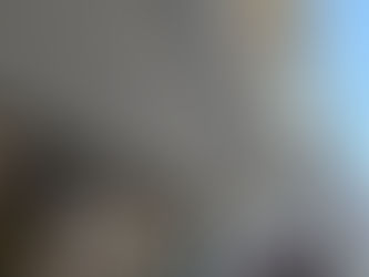 からあげ 金と銀 豊田小坂本町で害虫ブロック