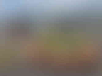 虫の少ない快適な環境