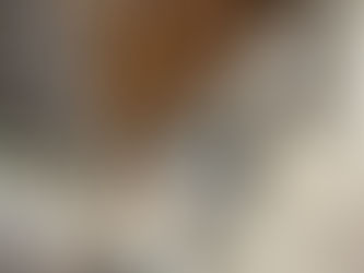 フェンスの新設工事