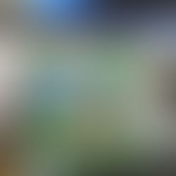 しんきんビジネスフェア 害虫ブロック