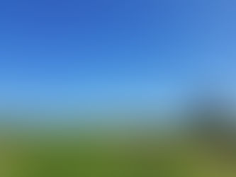 秋冬野菜の準備が繁忙期を迎えています