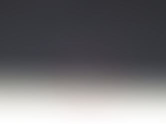 害虫ブロック施工2か月目点検清掃