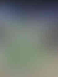 スズマサブース害虫ブロック