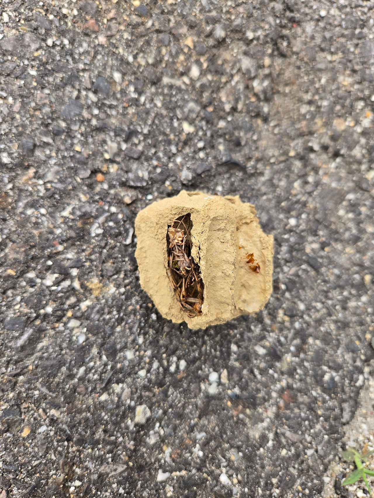 豊田市内の個人宅に害虫ブロック