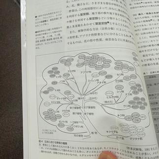 農ライフ座学野菜の病害虫