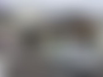 デウラリと一般住宅に害虫ブロックを施工してきました