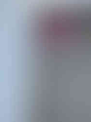 虫の少ない快適な環境