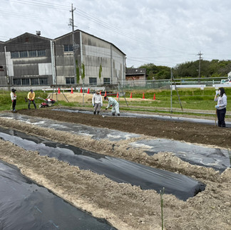 農ライフの研修で畝立て