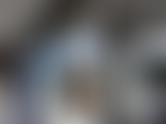 信用金庫さんに害虫ブロック施工してきました。