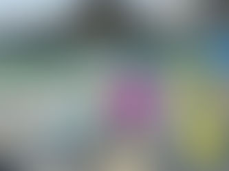 農ライフ　ナスの定植