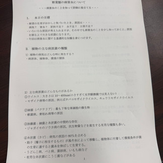 農ライフ座学野菜の病害虫