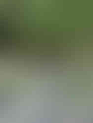 水路の復旧工事