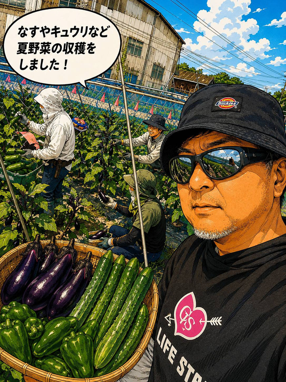 農ライフ担い手づくり研修。ナスの誘因、夏野菜管理を行いました。