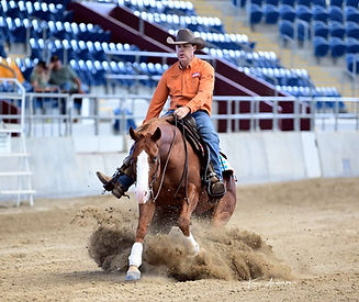 Chris Gould Stallion Connect.jpg