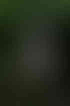 6A8A7419